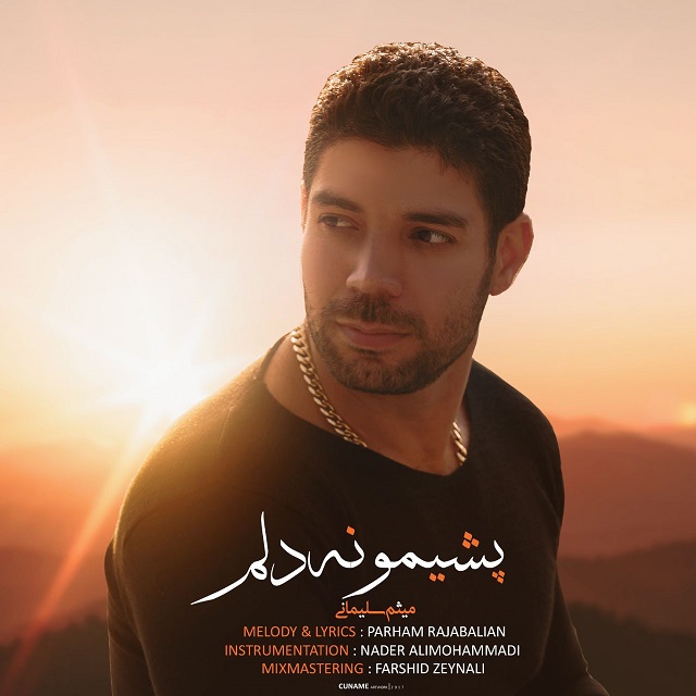 دانلود آهنگ پشیمونه دلم